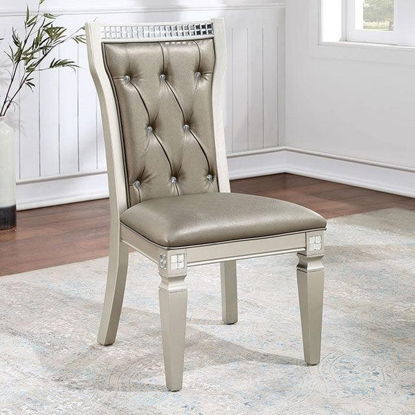 Adelina CM3158SC Champagne/Warm Gray Transitional Side Chair (2/Box) By Furniture Of America - sofafair.com