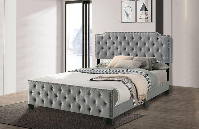 Charlize CM7414LG Gray Contemporary Bed By Furniture Of America - sofafair.com