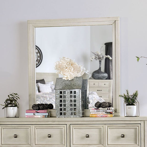 Furniture Of America Tywyn Mirror CM7365WH-M Antique White Transitional - sofafair.com