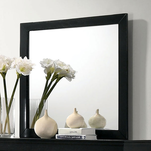 Furniture Of America Louis Philippe Mirror FM7866BK-M Black Transitional - sofafair.com