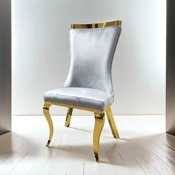 Furniture Of America Basilicata Gold Chair (2/CTN) FM33013GY-SC-2PK Gray Glam - sofafair.com