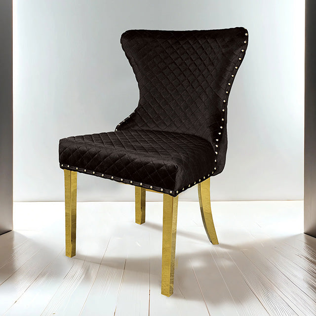 Furniture Of America Portanova Gold Chair (2/CTN) FM33015BK-SC-2PK Black Glam - sofafair.com