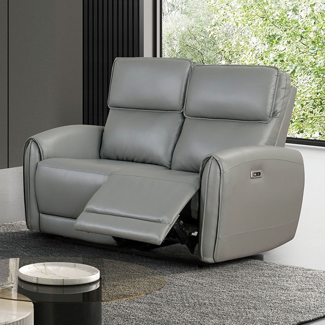 Furniture Of America Schlieren Power Loveseat FM6012GY-LV-PM Gray Contemporary - sofafair.com