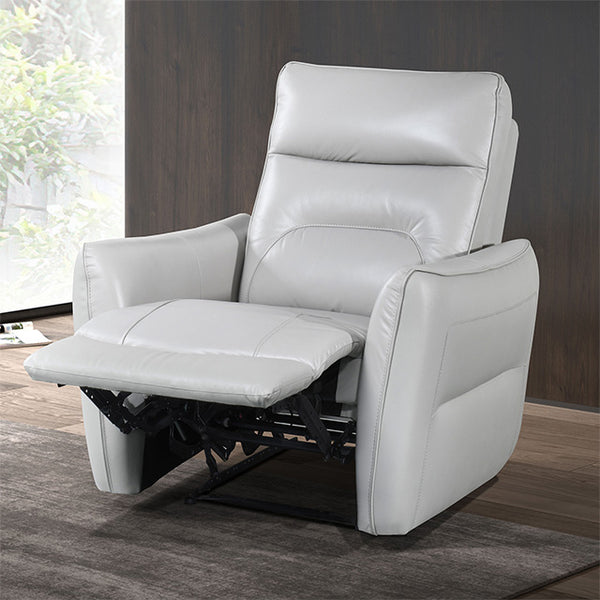 Furniture Of America Terentius Power Recliner FM69006TP-CH-PM Taupe Contemporary - sofafair.com