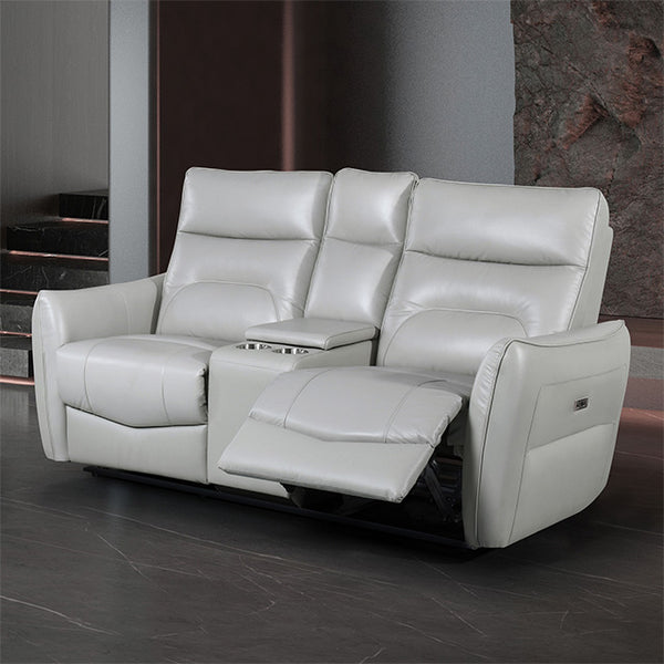 Furniture Of America Terentius Power Loveseat FM69006TP-LV-PM Taupe Contemporary - sofafair.com