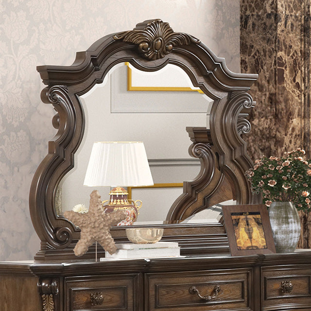 Furniture Of America Leovanni Mirror FM70003DB-M Dark Brown Traditional - sofafair.com