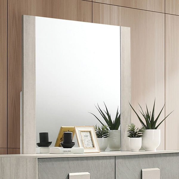 Furniture Of America Lincolt Mirror FM7201WH-M White Wash/Stone Gray Contemporary - sofafair.com