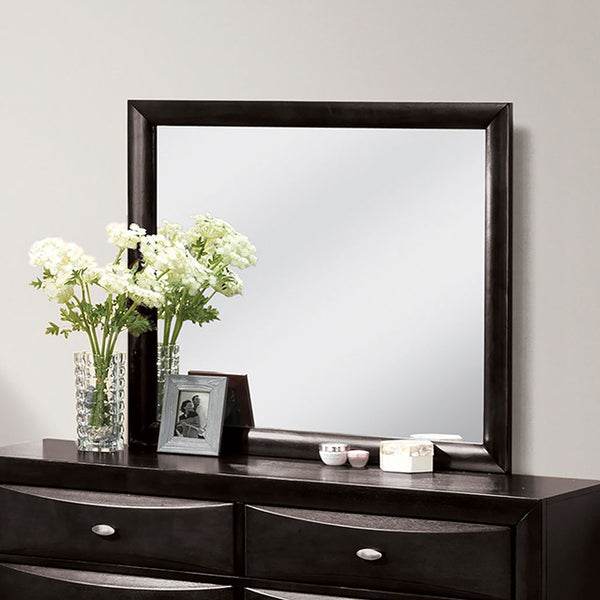 Furniture Of America Zosimo Mirror FM7210BK-M Black Transitional - sofafair.com