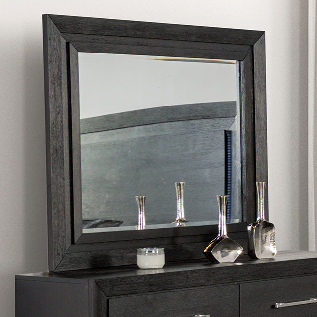 Furniture Of America Ashbourne Mirror FM7415BK-M Black Contemporary - sofafair.com