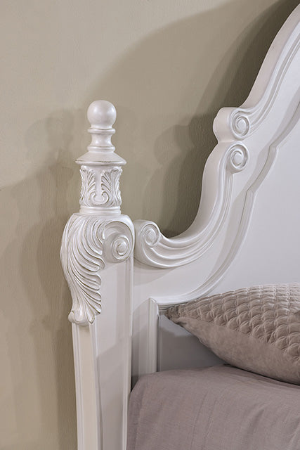 Furniture Of America Francione Bed FM7638WH White Traditional - sofafair.com