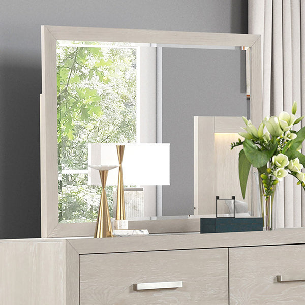 Furniture Of America Wellingborough Mirror FM7703AK-M Light Gray Transitional - sofafair.com