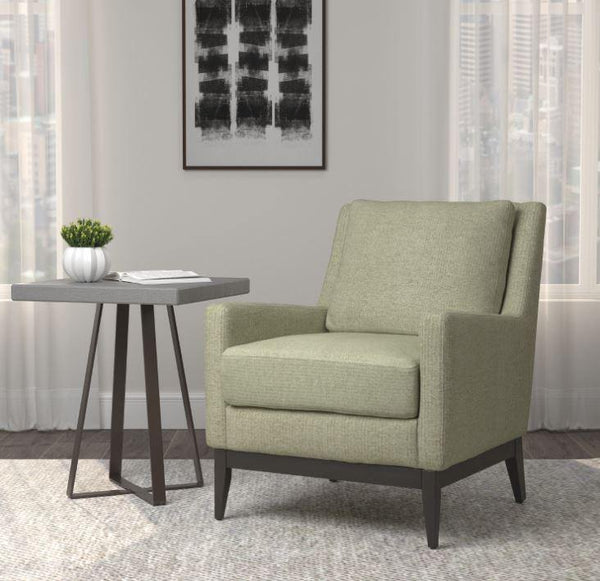 905533 Sage green Accent chair By coaster - sofafair.com