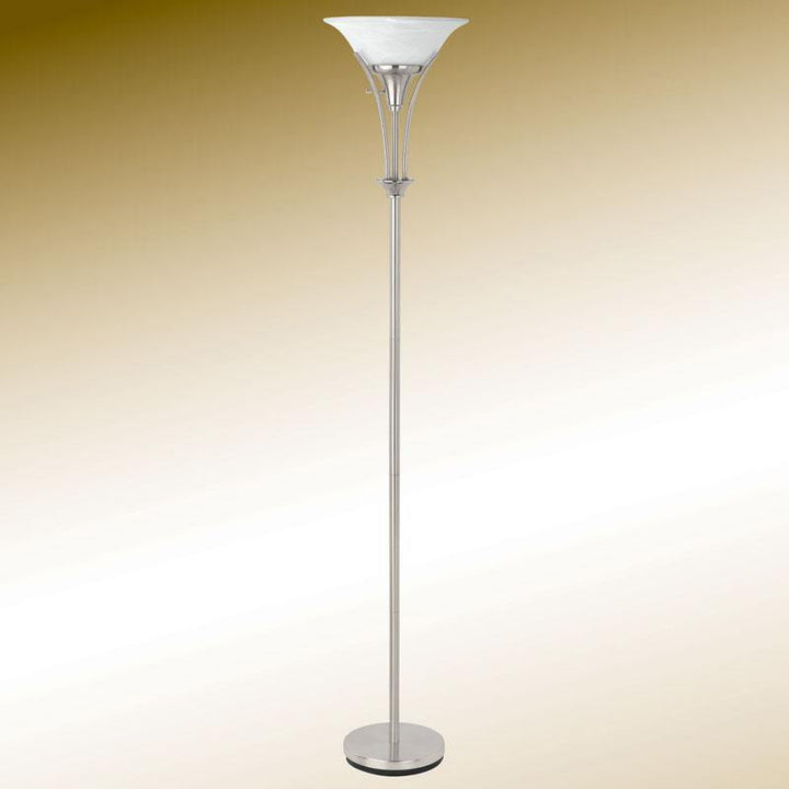 901193 Brushed steel Transitional Transitional silver floor lamp By coaster - sofafair.com
