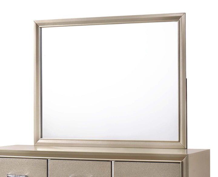 Beaumont transitional champagne mirror 205294 Mirror1 By coaster - sofafair.com