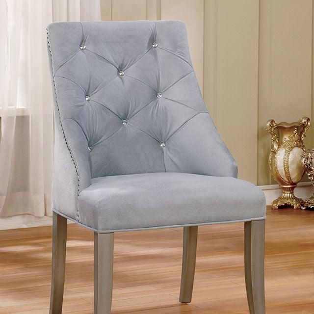Diocles CM3020SC-2PK Silver/Gray Transitional Side Chair (2/Box) By furniture of america - sofafair.com