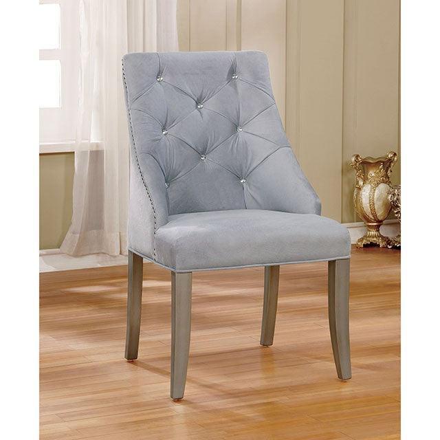 Diocles CM3020SC-2PK Silver/Gray Transitional Side Chair (2/Box) By Furniture Of America - sofafair.com
