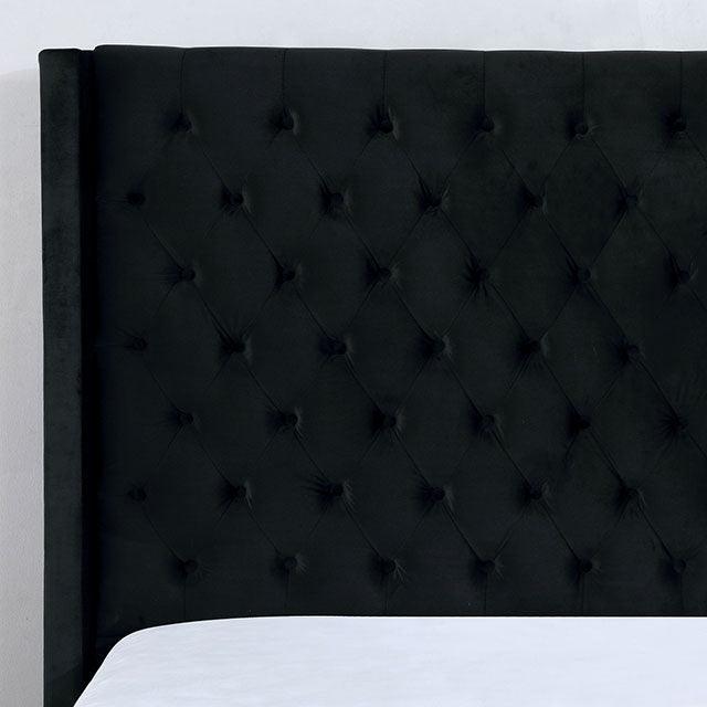Ryleigh CM7141BK Black Transitional Bed By Furniture Of America - sofafair.com