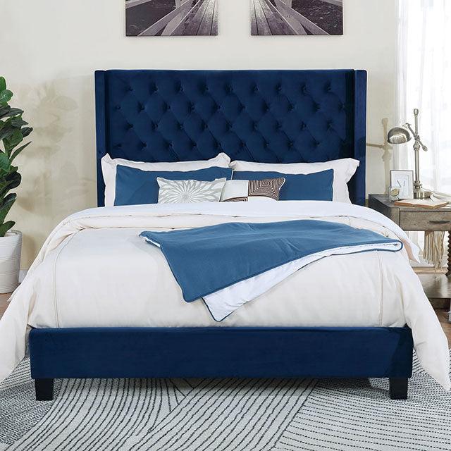 Ryleigh CM7141NV-CK Navy Transitional Bed By Furniture Of America - sofafair.com