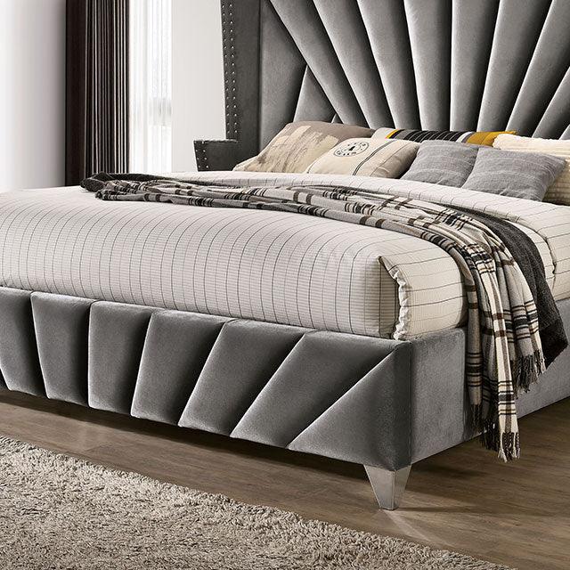 Carissa CM7164 Gray Transitional Bed By Furniture Of America - sofafair.com