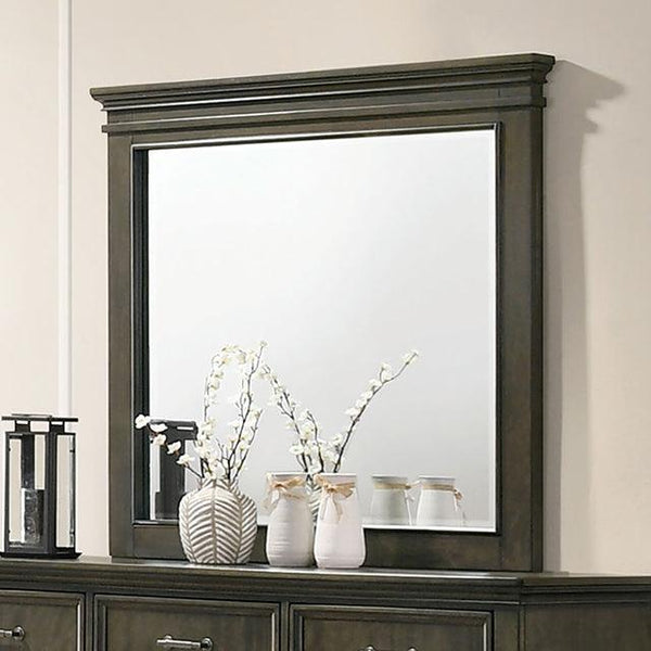 Houston CM7221GY-M Gray Traditional Mirror By Furniture Of America - sofafair.com