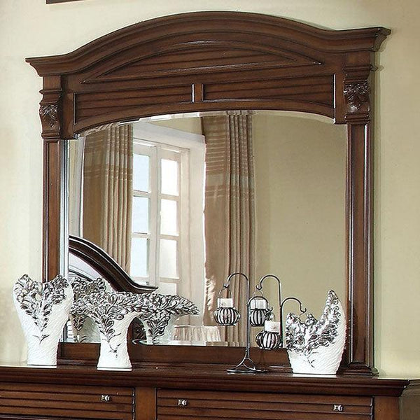 Darius CM7366M Antique Walnut Transitional Mirror By Furniture Of America - sofafair.com