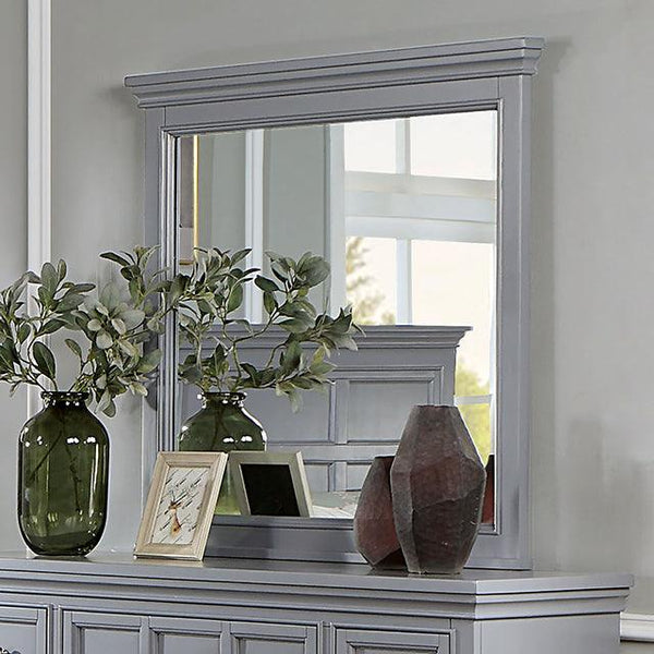 Castlile CM7413GY-M Gray Transitional Mirror By Furniture Of America - sofafair.com