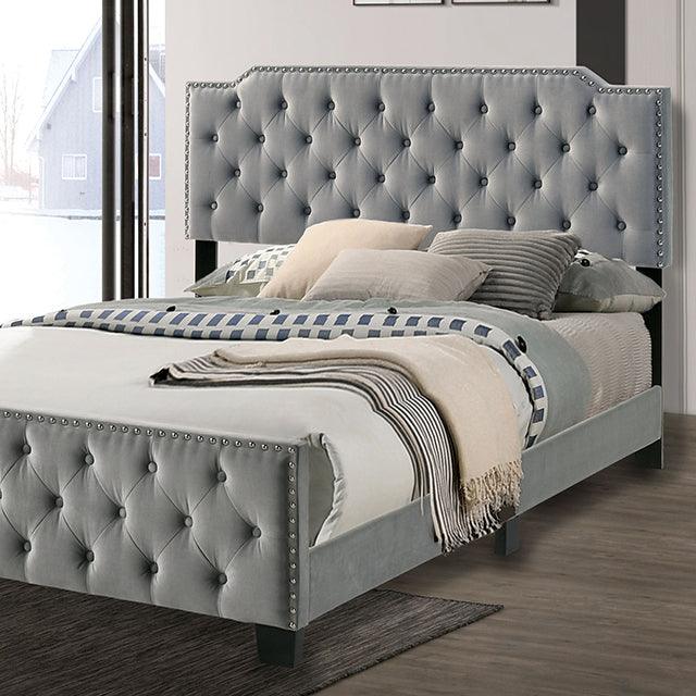 Charlize CM7414LG Gray Contemporary Bed By Furniture Of America - sofafair.com