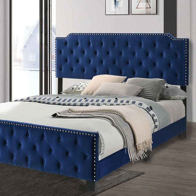 Charlize CM7414NV Navy Contemporary Bed By Furniture Of America - sofafair.com