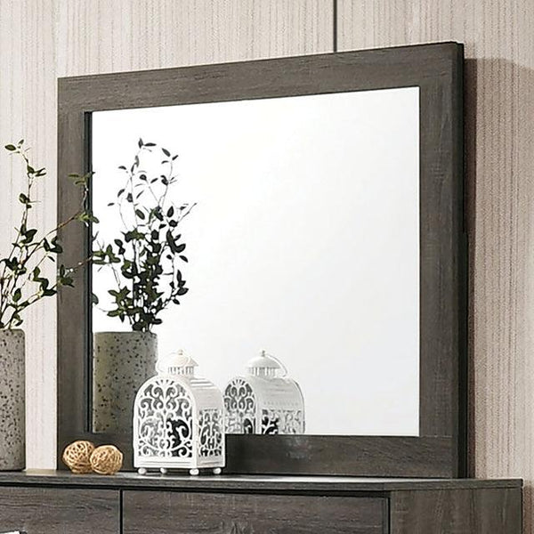 Richterswil CM7415M Gray Contemporary Mirror By Furniture Of America - sofafair.com