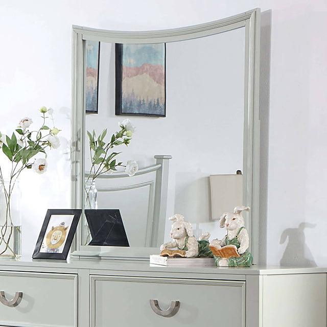 Lycorida CM7477GY-M Gray Transitional Mirror By Furniture Of America - sofafair.com