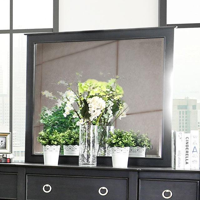 Arabelle CM7481M Wire-Brushed Black Transitional Mirror By Furniture Of America - sofafair.com