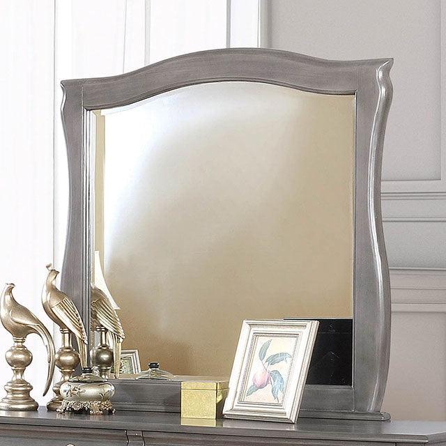 Brunswick CM7503GY-M Gray Transitional Mirror By Furniture Of America - sofafair.com