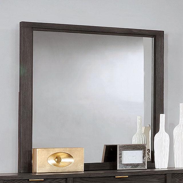 Bailey CM7510M Dark Gray Contemporary Mirror By Furniture Of America - sofafair.com