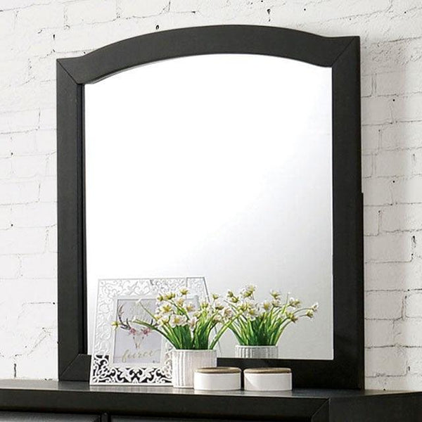 Kirsten CM7547GY-M Charcoal Transitional Mirror By Furniture Of America - sofafair.com
