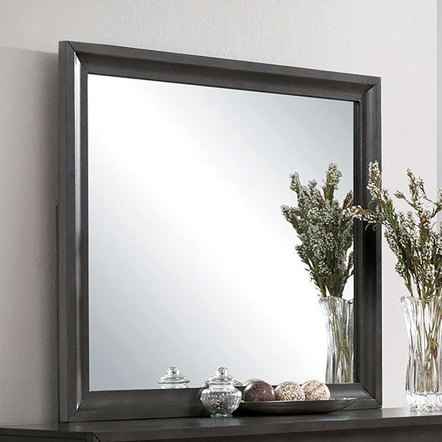 Clotilde CM7553M Antique Gray Transitional Mirror By Furniture Of America - sofafair.com