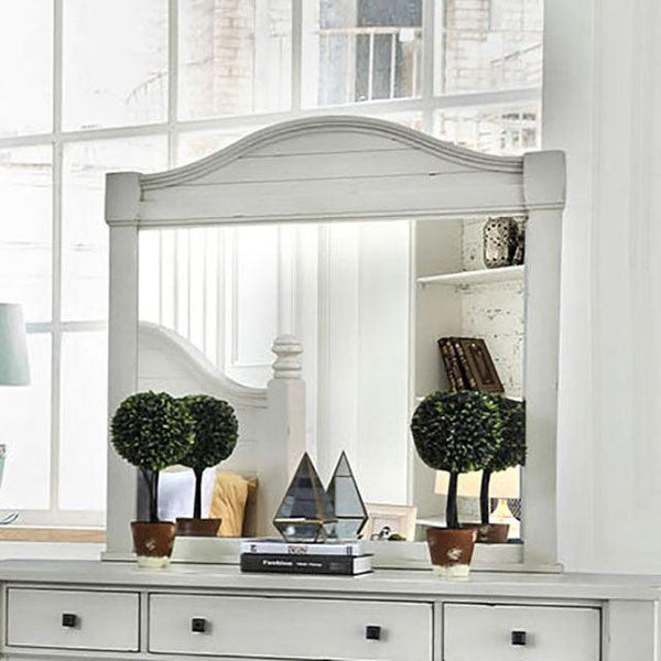 Daria CM7562M Antique White Transitional Mirror By Furniture Of America - sofafair.com