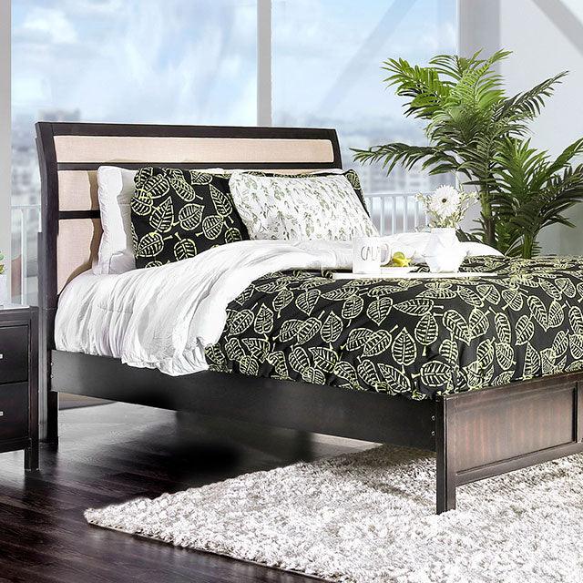 Berenice CM7580EX-CK Espresso/Beige Transitional Bed By Furniture Of America - sofafair.com