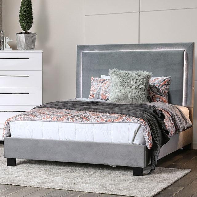 Erglow CM7695GY Gray Contemporary Bed By Furniture Of America - sofafair.com