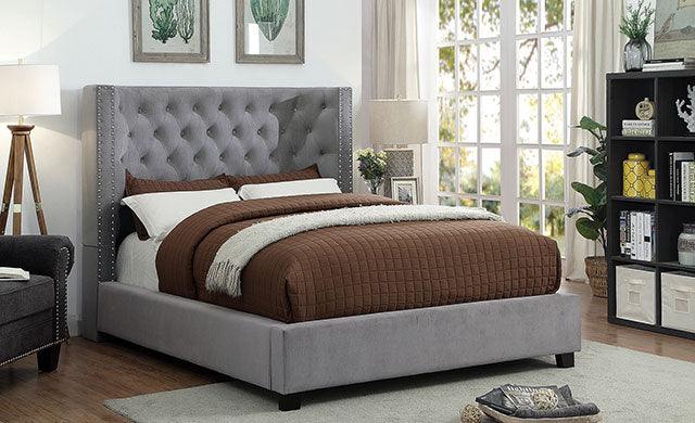 Carley CM7775GY Gray Transitional Bed By Furniture Of America - sofafair.com
