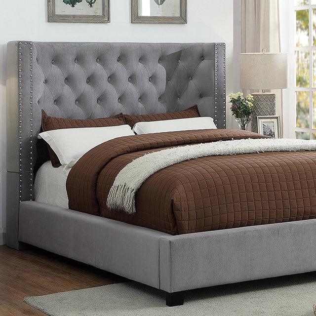 Carley CM7775GY Gray Transitional Bed By Furniture Of America - sofafair.com