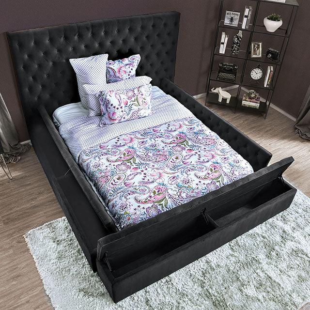 Davida CM7897DG Dark Gray Transitional Bed By Furniture Of America - sofafair.com