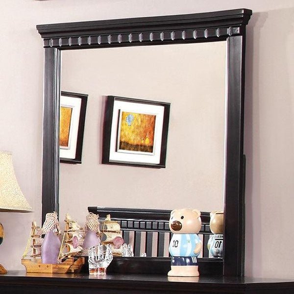 Caspian CM7920BK-M Black Transitional Mirror By Furniture Of America - sofafair.com