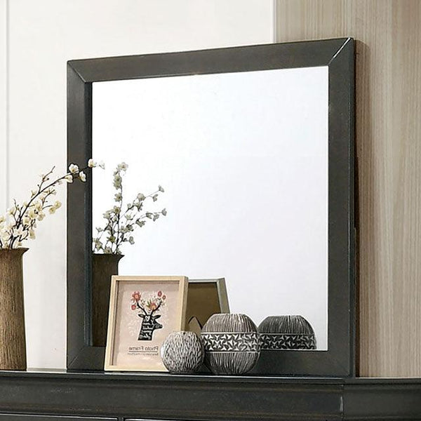 Louis Philippe CM7966GY-M Gray Transitional Mirror By Furniture Of America - sofafair.com