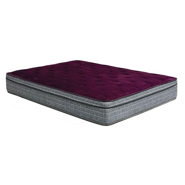 Minnetonka DM317 Gray/Purple Euro Pillow Top 13" Euro Pillow Top Mattress By Furniture Of America - sofafair.com