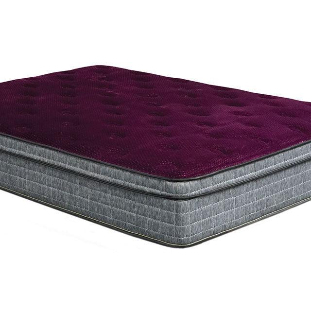 Minnetonka DM317 Gray/Purple Euro Pillow Top 13" Euro Pillow Top Mattress By Furniture Of America - sofafair.com