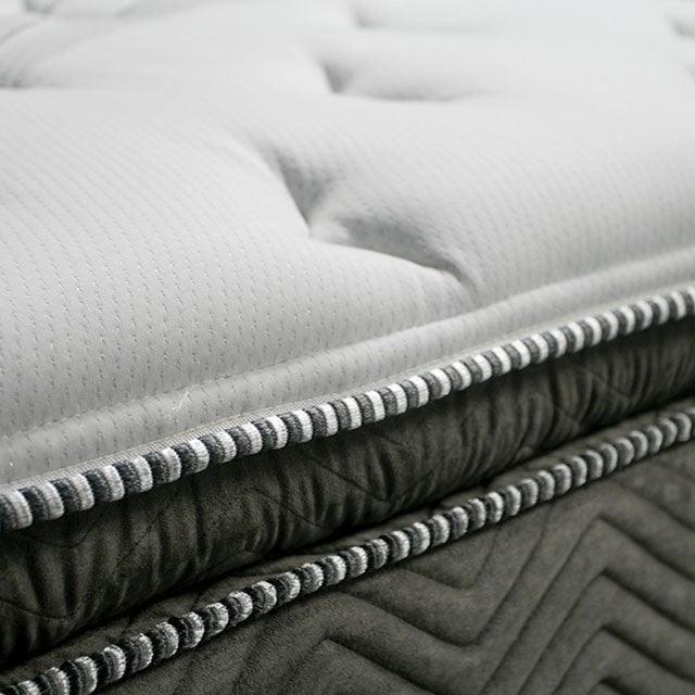 Stormin DM338 White/Gray Euro Pillow Top 13 Euro Pillow Top Gel Infused Memory Foam By Furniture Of America - sofafair.com