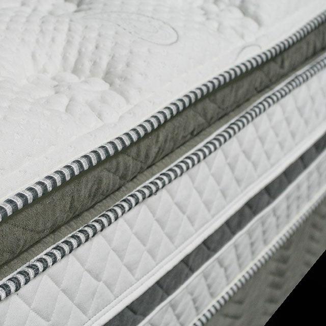 Siddalee DM339 White/Gray Euro Pillow Top 16 Euro Pillow Top 2.5 Gel Infused Memory Foam By Furniture Of America - sofafair.com
