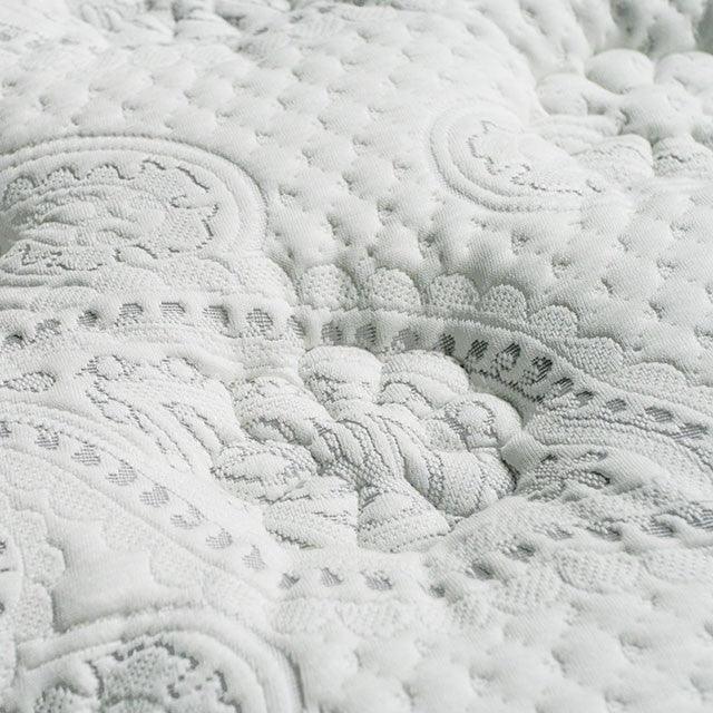 Siddalee DM339 White/Gray Euro Pillow Top 16 Euro Pillow Top 2.5 Gel Infused Memory Foam By Furniture Of America - sofafair.com