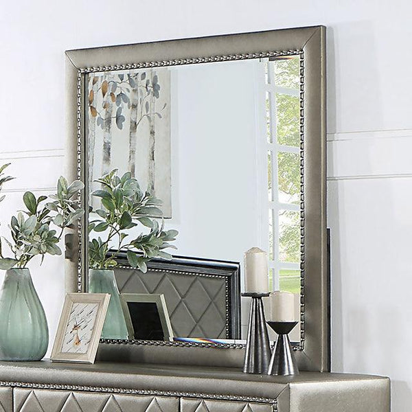 Xandria FOA7224M Champagne/Warm Gray Transitional Mirror By Furniture Of America - sofafair.com