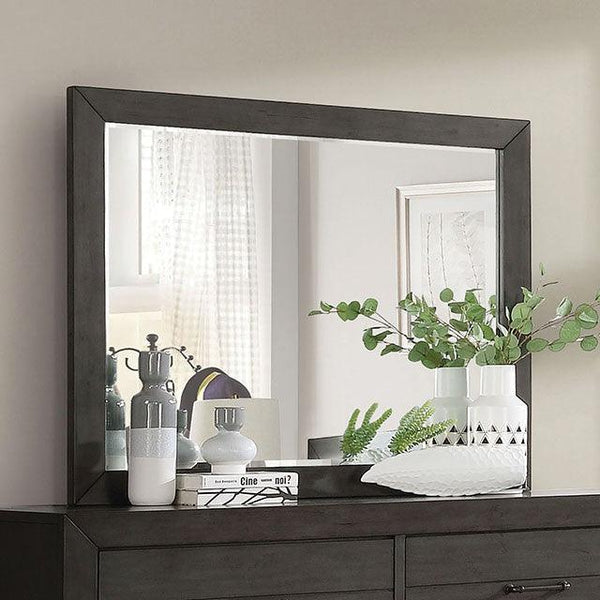 Sligo FOA7893M Dark Gray Transitional Mirror By Furniture Of America - sofafair.com